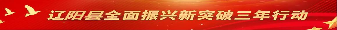 遼陽(yáng)縣全面振興新突破三年行動(dòng)